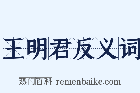 王明君反义词是什么意思的图片